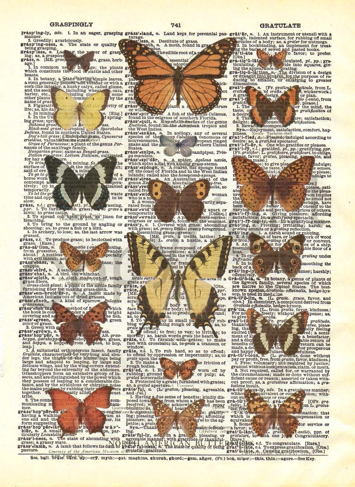 Butterflies Dictionary Art Print