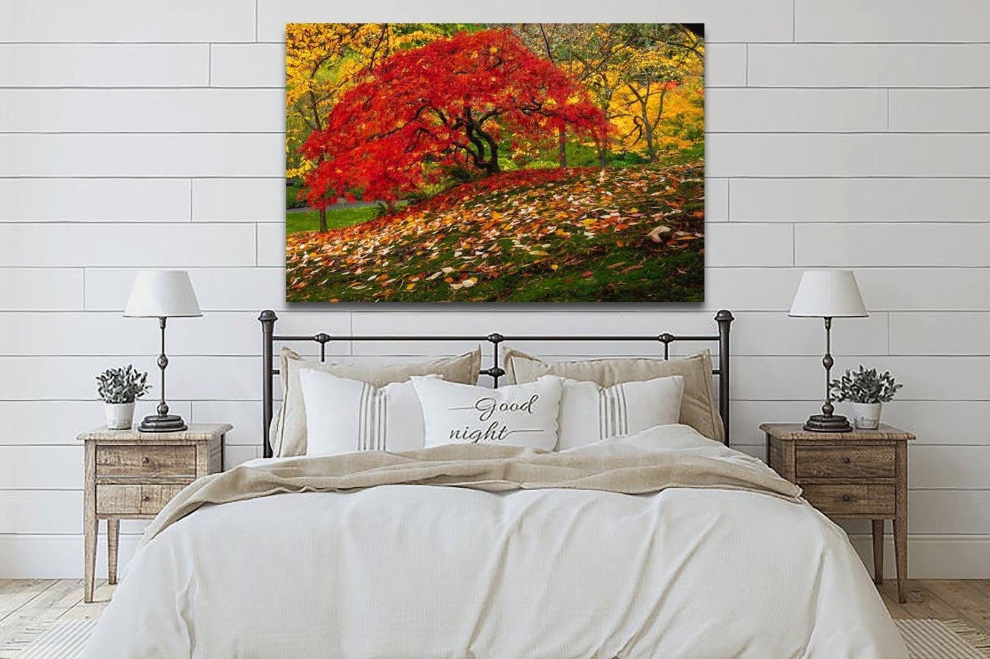 Japanese Maple Tree in Fall, Japanese Fall, Fall Autumn in Japan Canvas Wall Art