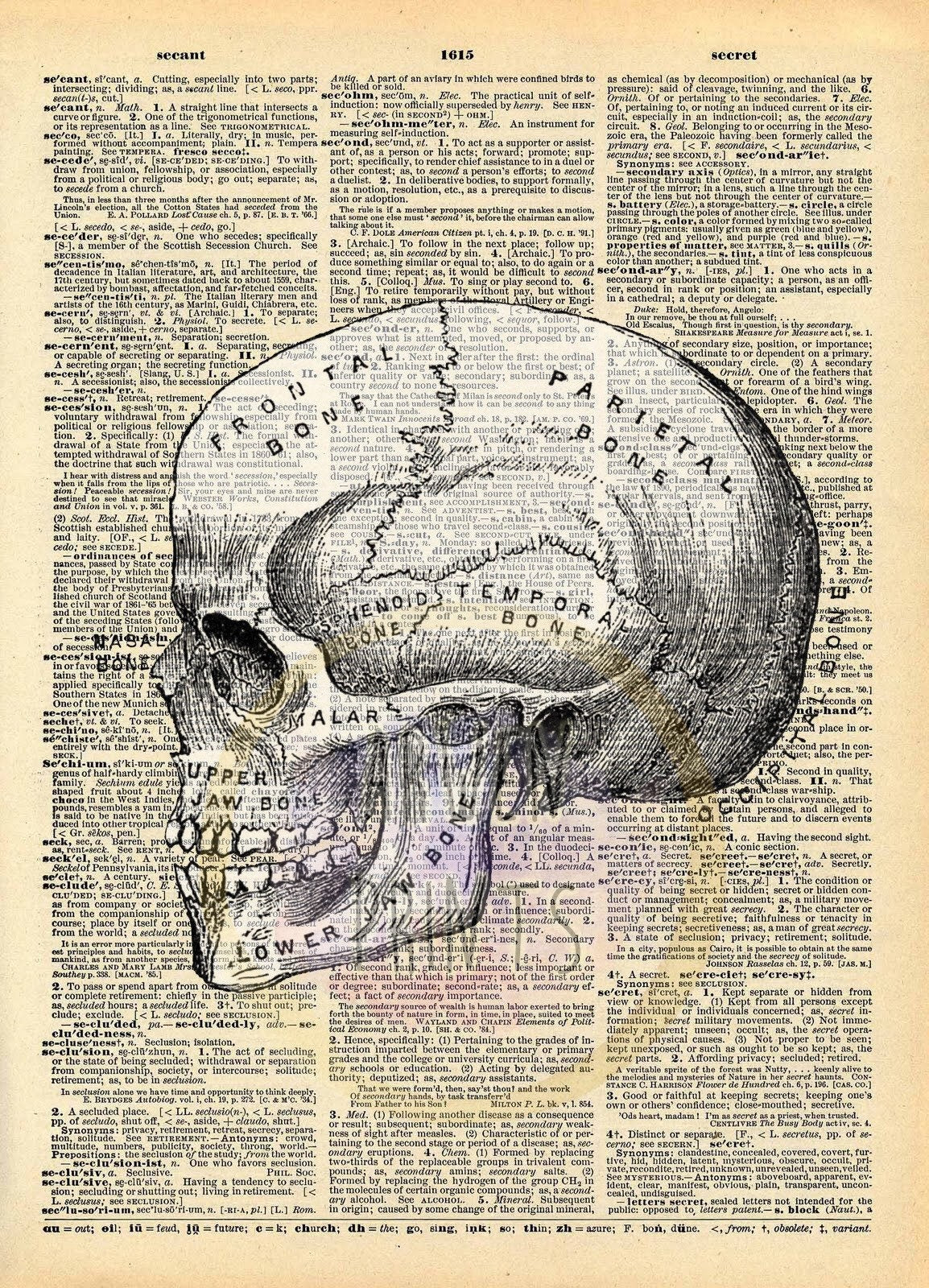 Skull Anatomy Halloween Decor Dictionary Art Print