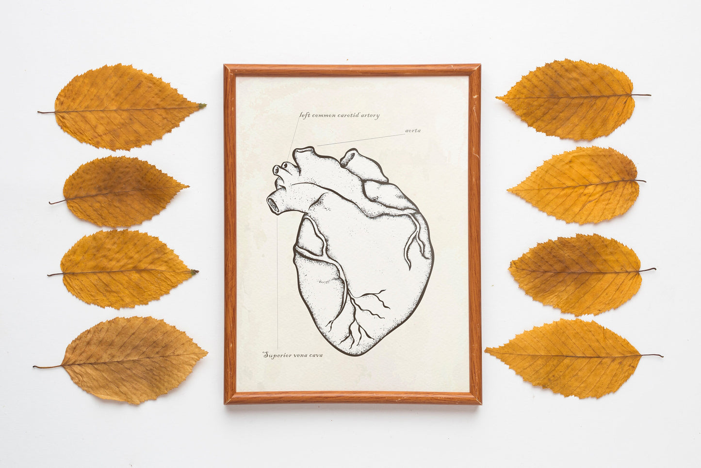Halloween Heart Anatomy Wall Decor