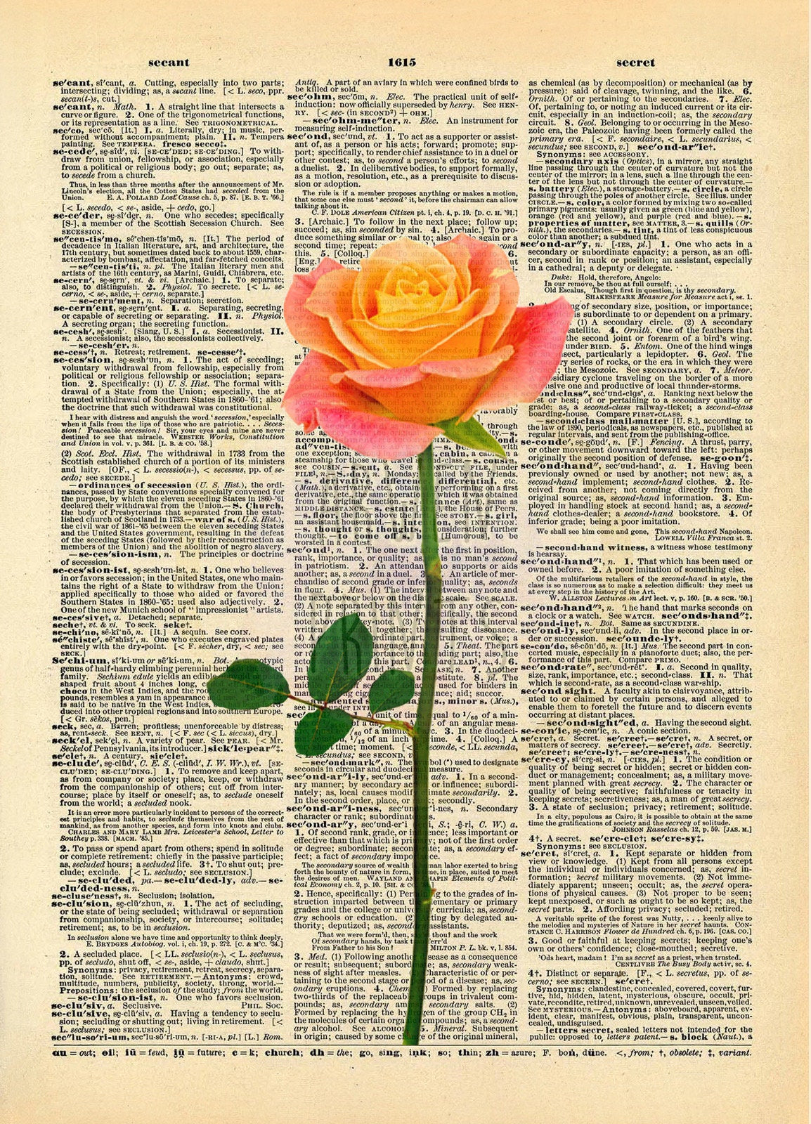 Rose Plant Dictionary Art Print