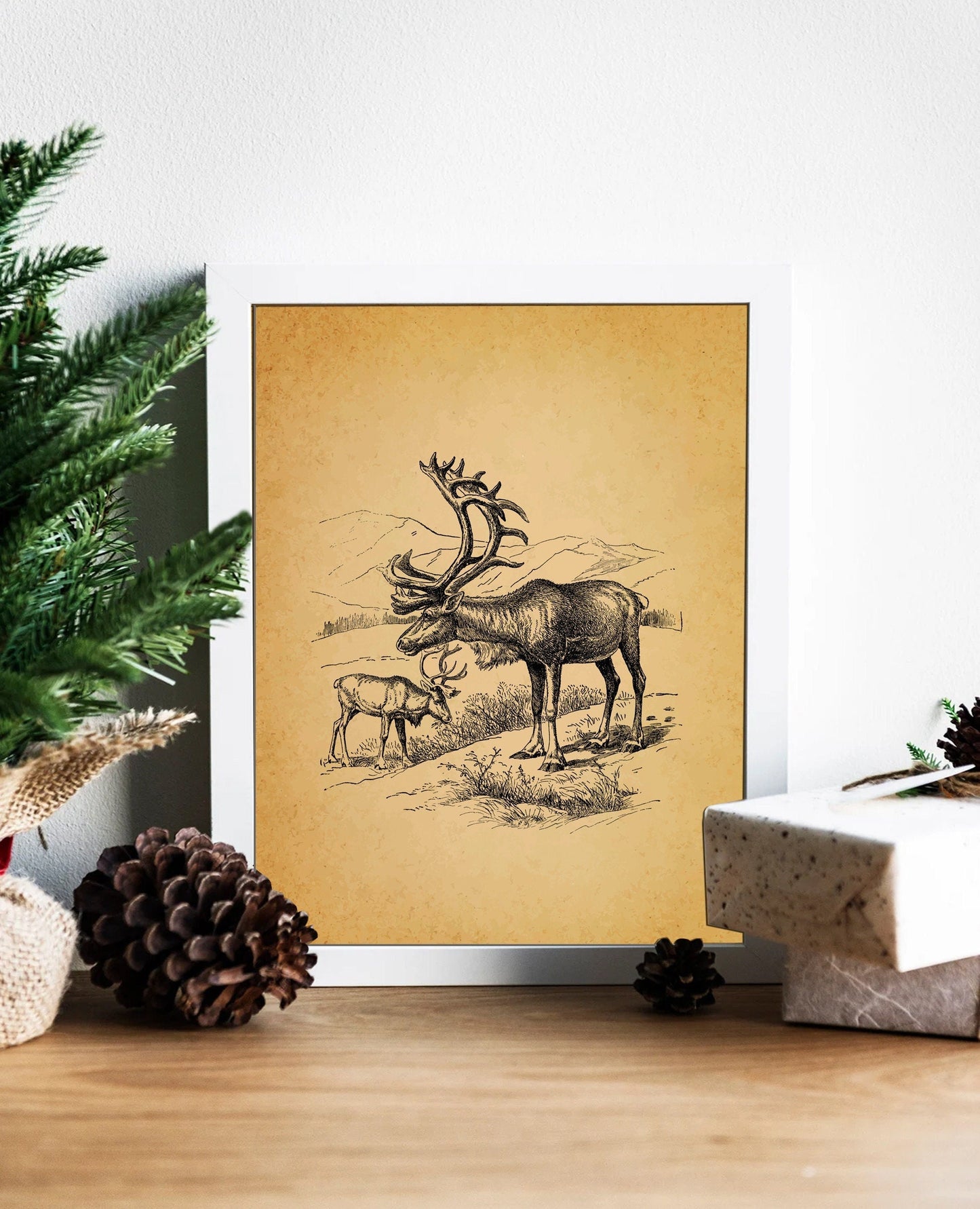 Christmas Vintage Deer Illustration Sketch Art Print, Vintage Christmas, Vintage Nature Illustration, Christmas Art, Deer Art, Deer Drawing