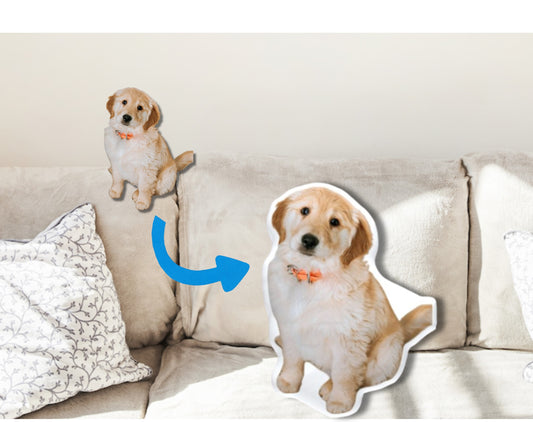 Personalized Shaped Pillow - Custom Shaped Pillow From Photo - Custom Face Pillow