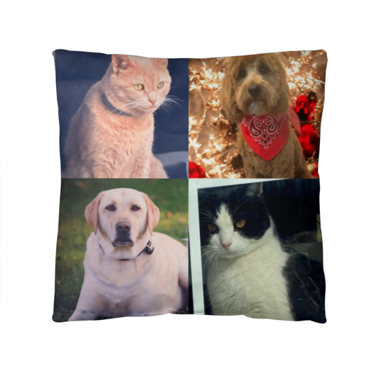 Custom Pet Pillow