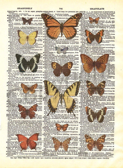 Butterflies Dictionary Art Print