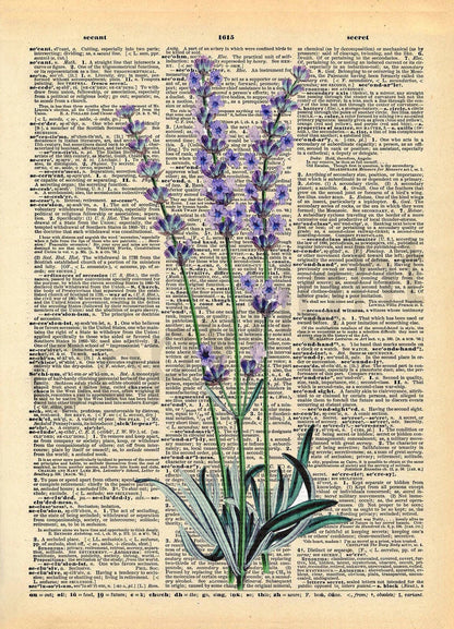 Lavender Plant Dictionary Art Print