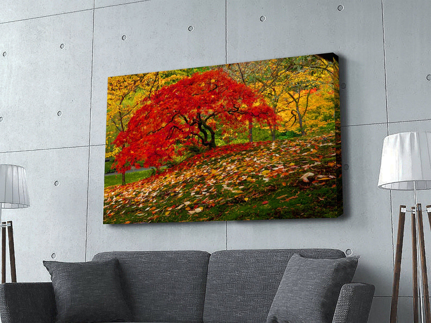 Japanese Maple Tree in Fall, Japanese Fall, Fall Autumn in Japan Canvas Wall Art