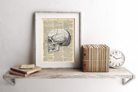 Skull Anatomy Halloween Decor Dictionary Art Print