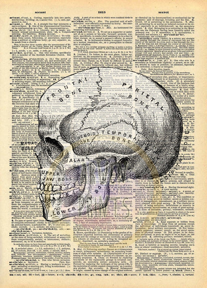 Skull Anatomy Halloween Decor Dictionary Art Print
