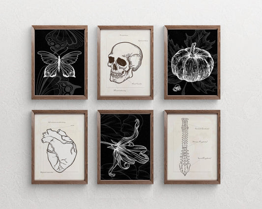 Halloween Wall Decor, Fall Decor, Halloween Boho Set of 6 Prints
