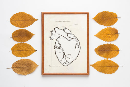 Halloween Heart Anatomy Wall Decor