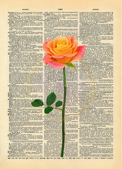 Rose Plant Dictionary Art Print