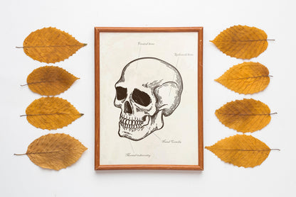 Halloween Wall Decor, Fall Decor, Halloween Boho Set of 6 Prints