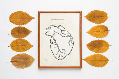 Halloween Wall Decor, Fall Decor, Halloween Boho Set of 6 Prints