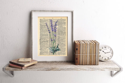 Lavender Plant Dictionary Art Print