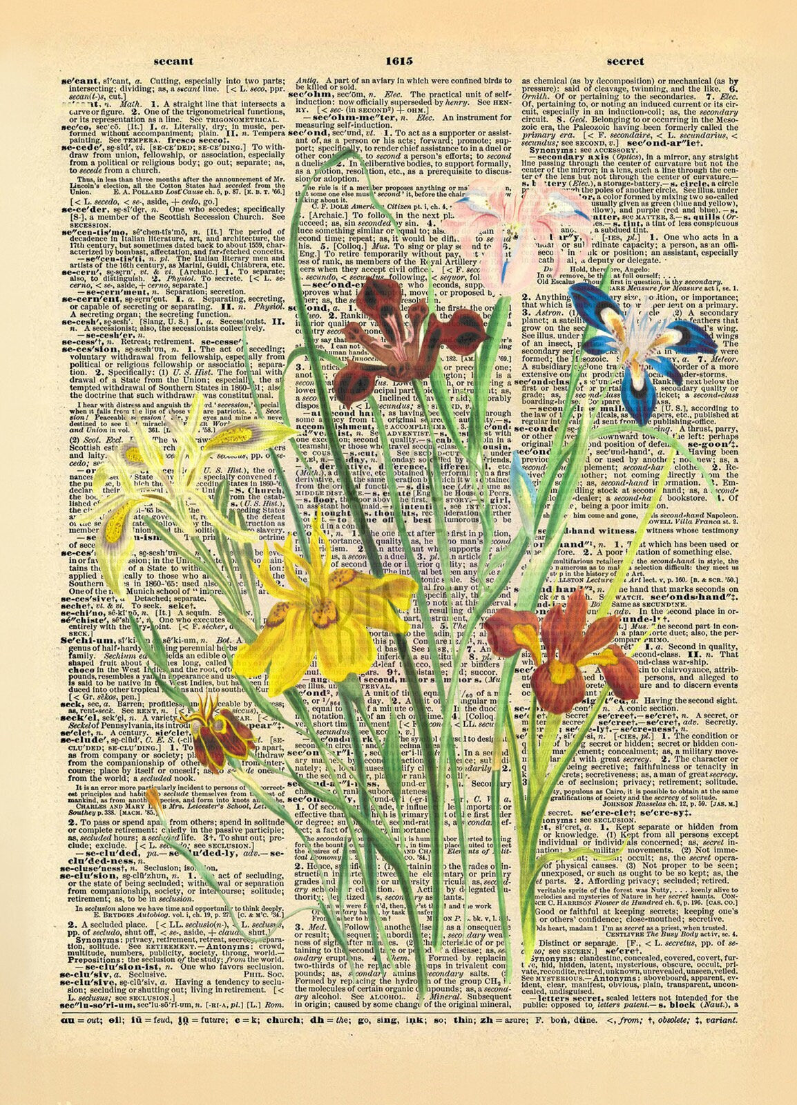 Multi-Colored Flowers Illustration Dictionary Art Print