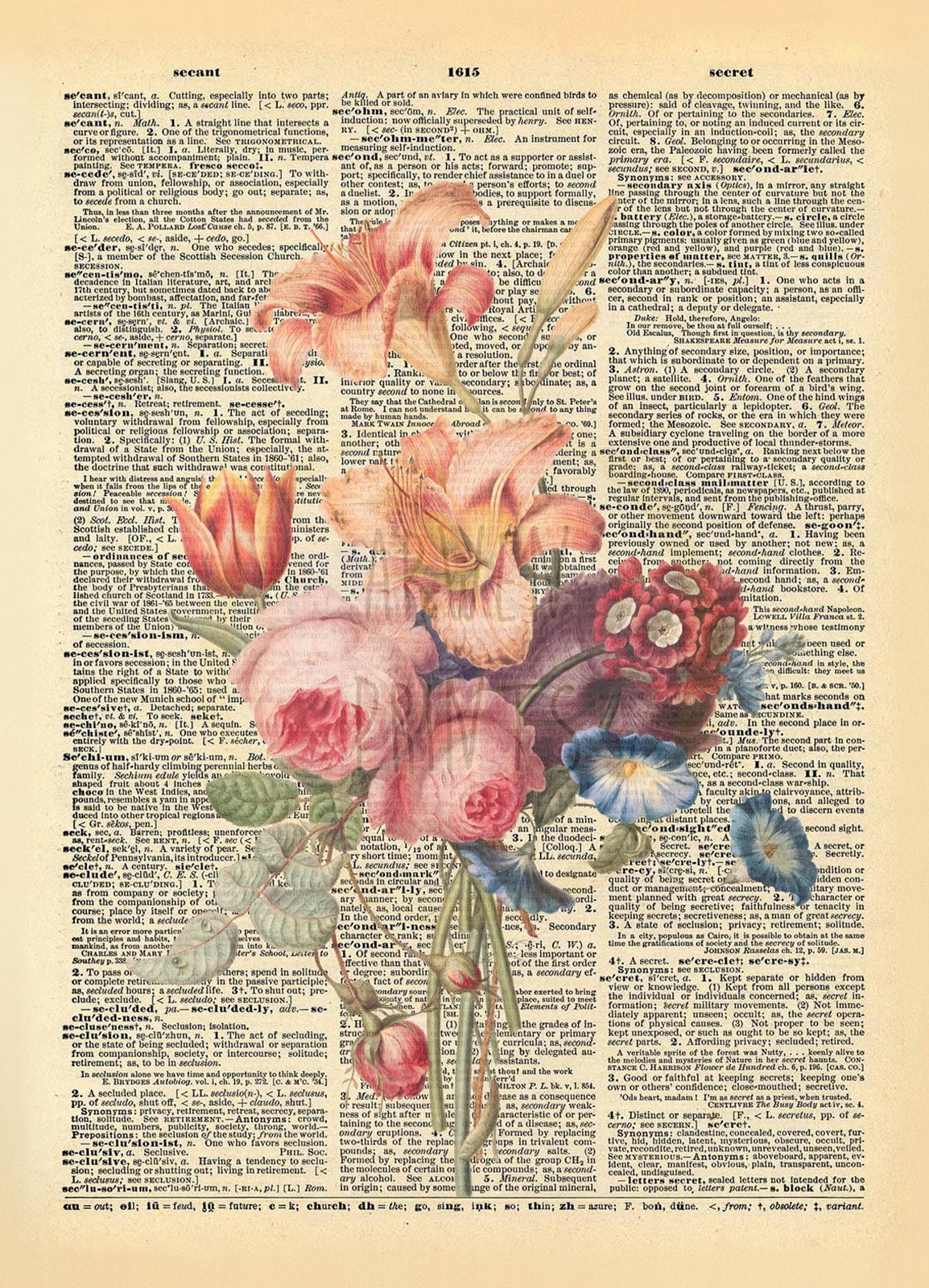 Flowers Illustration Dictionary Art Print
