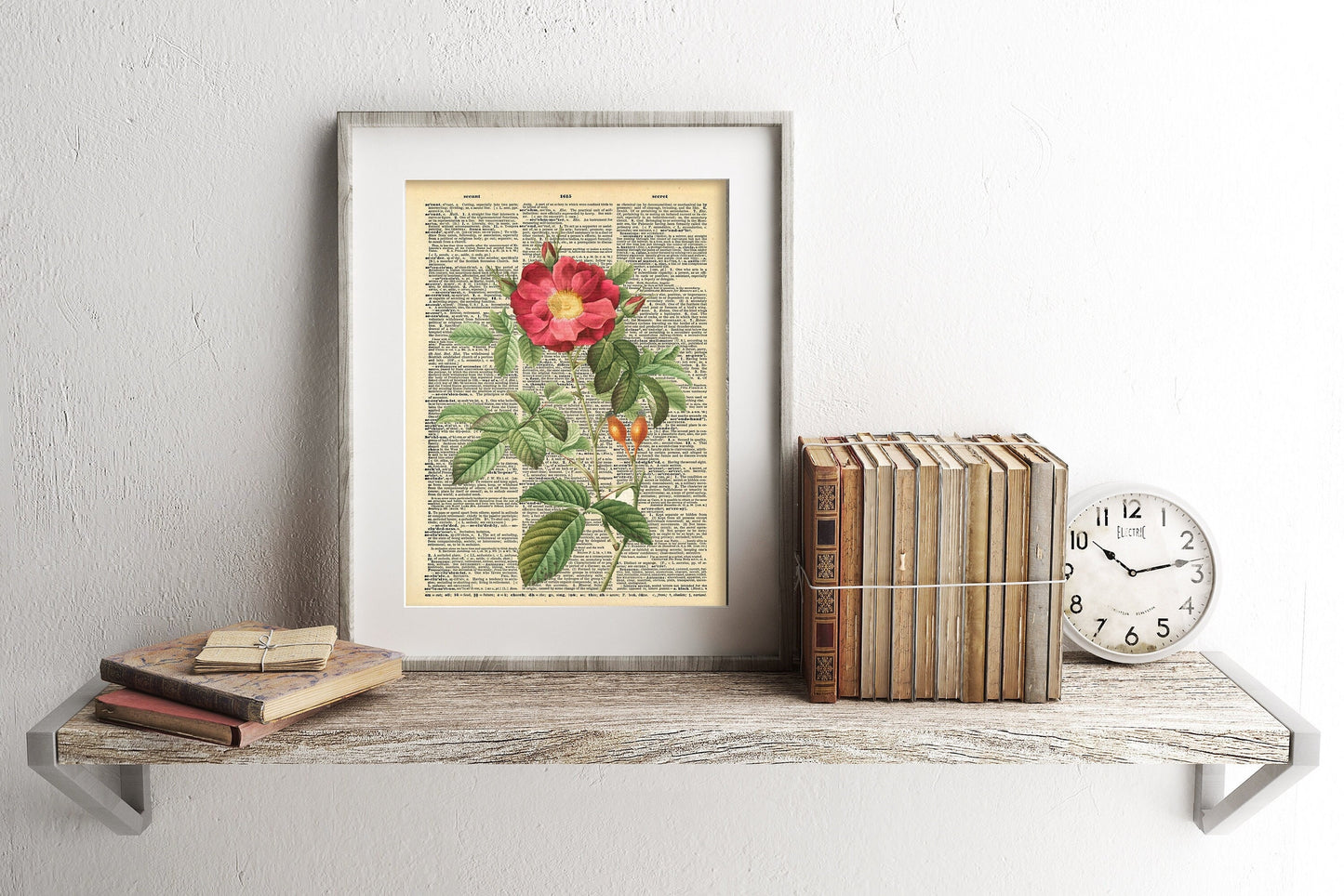 Flower Rose Illustration Dictionary Art Print
