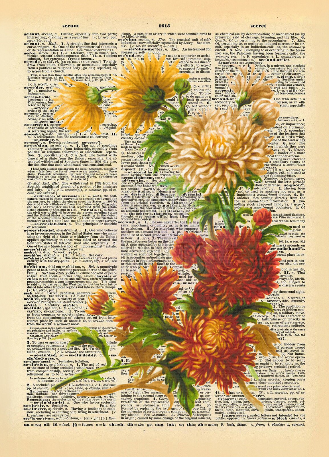 Colorful Flowers Illustration Dictionary Art Print