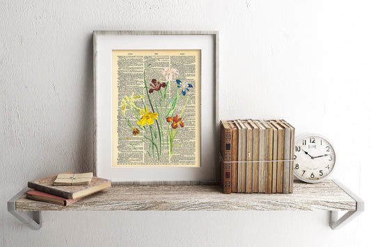 Multi-Colored Flowers Illustration Dictionary Art Print