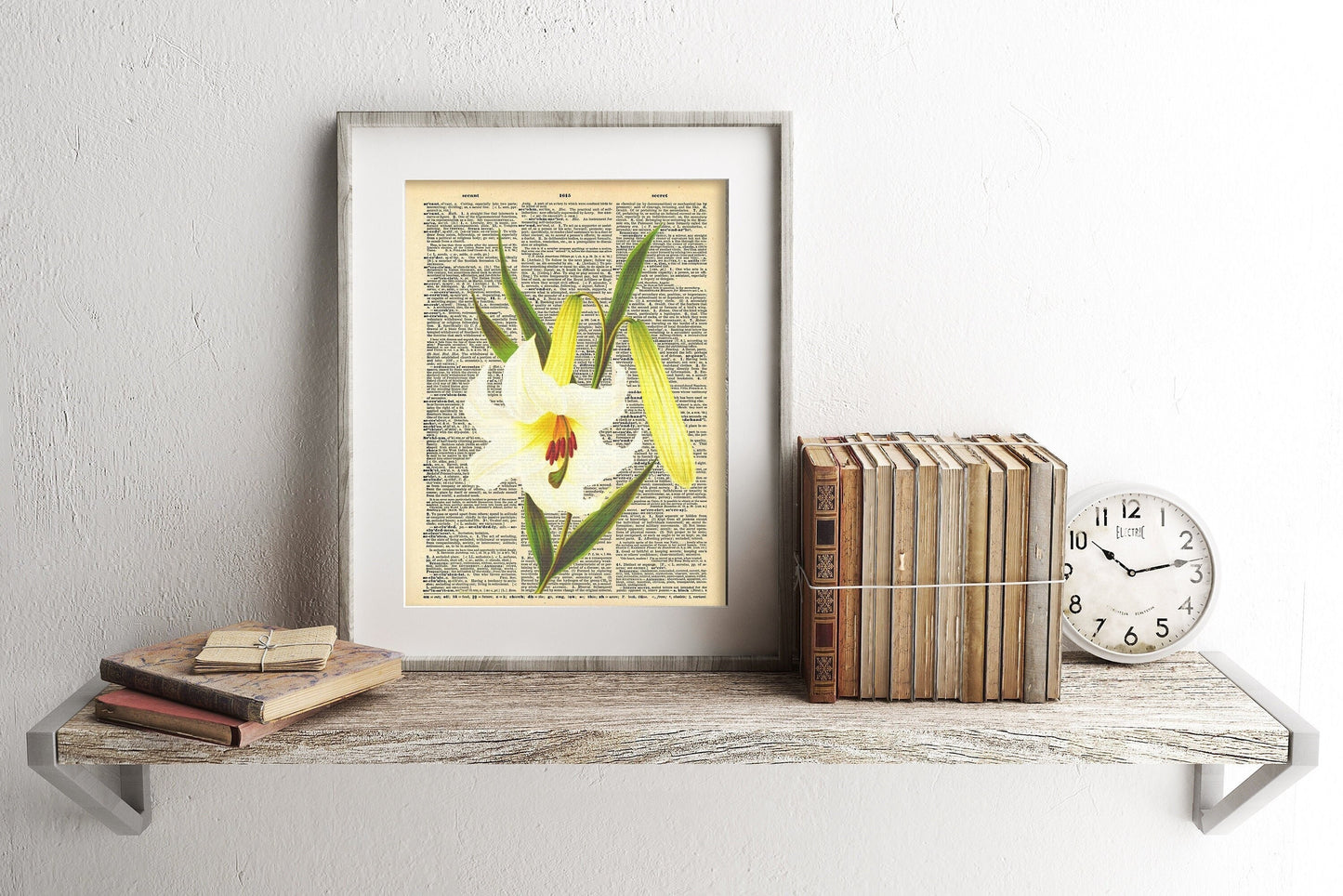 Lily Flower Illustration Dictionary Art Print