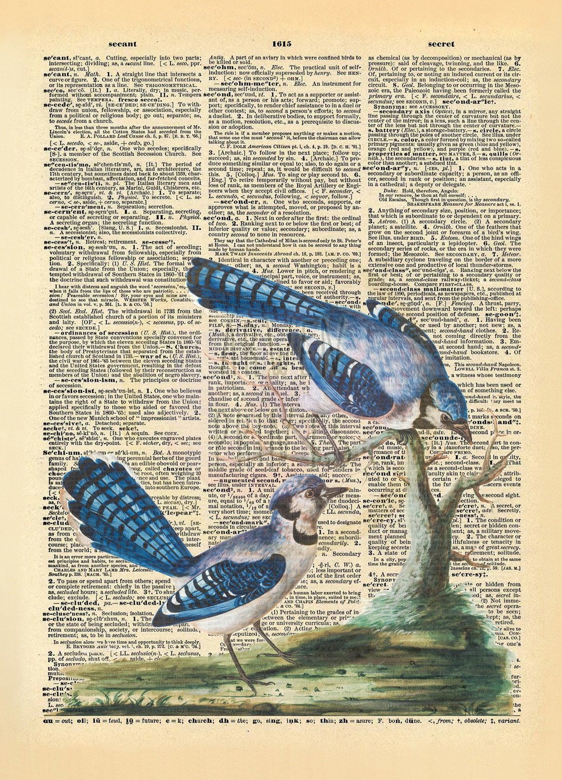 Blue Jays Dictionary Art Print