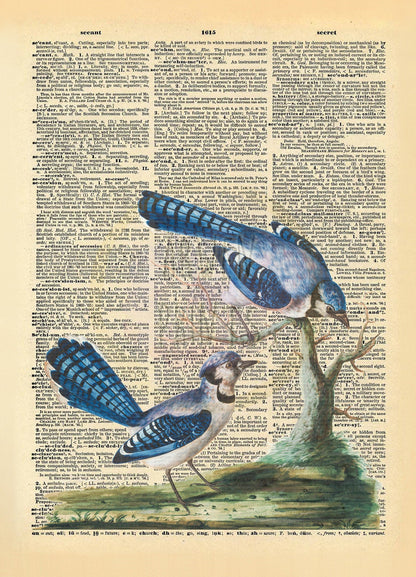 Blue Jays Dictionary Art Print