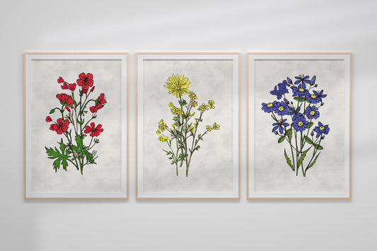 Wild Flowers Nursery Decor Gift Nursery Print Set BoHo Nursery Wall Art Meadow Flowers Botanical Plant Floral Nursery Wall Art Wildflowers