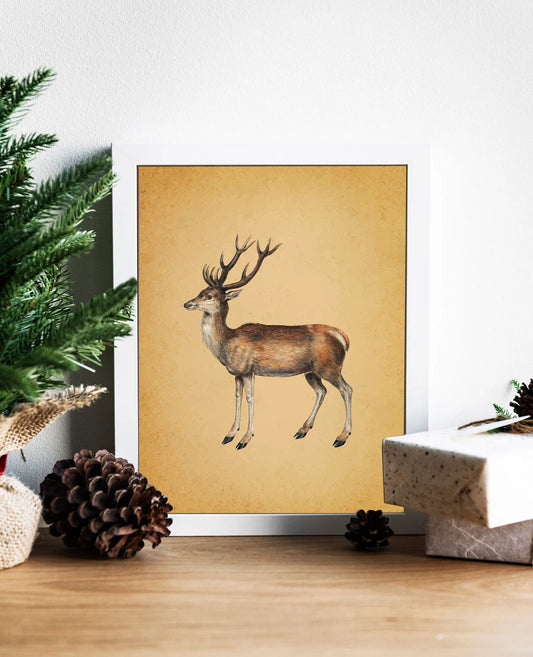 Christmas Vintage Deer Color Illustration Art Print, Vintage Christmas, Vintage Christmas Illustration, Christmas Art