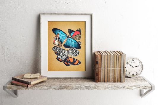 Vintage Butterflies Art Print, Vintage Butterfly Art, Vintage Illustration, Butterfly Art, Bug Art, Insect Art, Vintage Nature Art, Wall Art