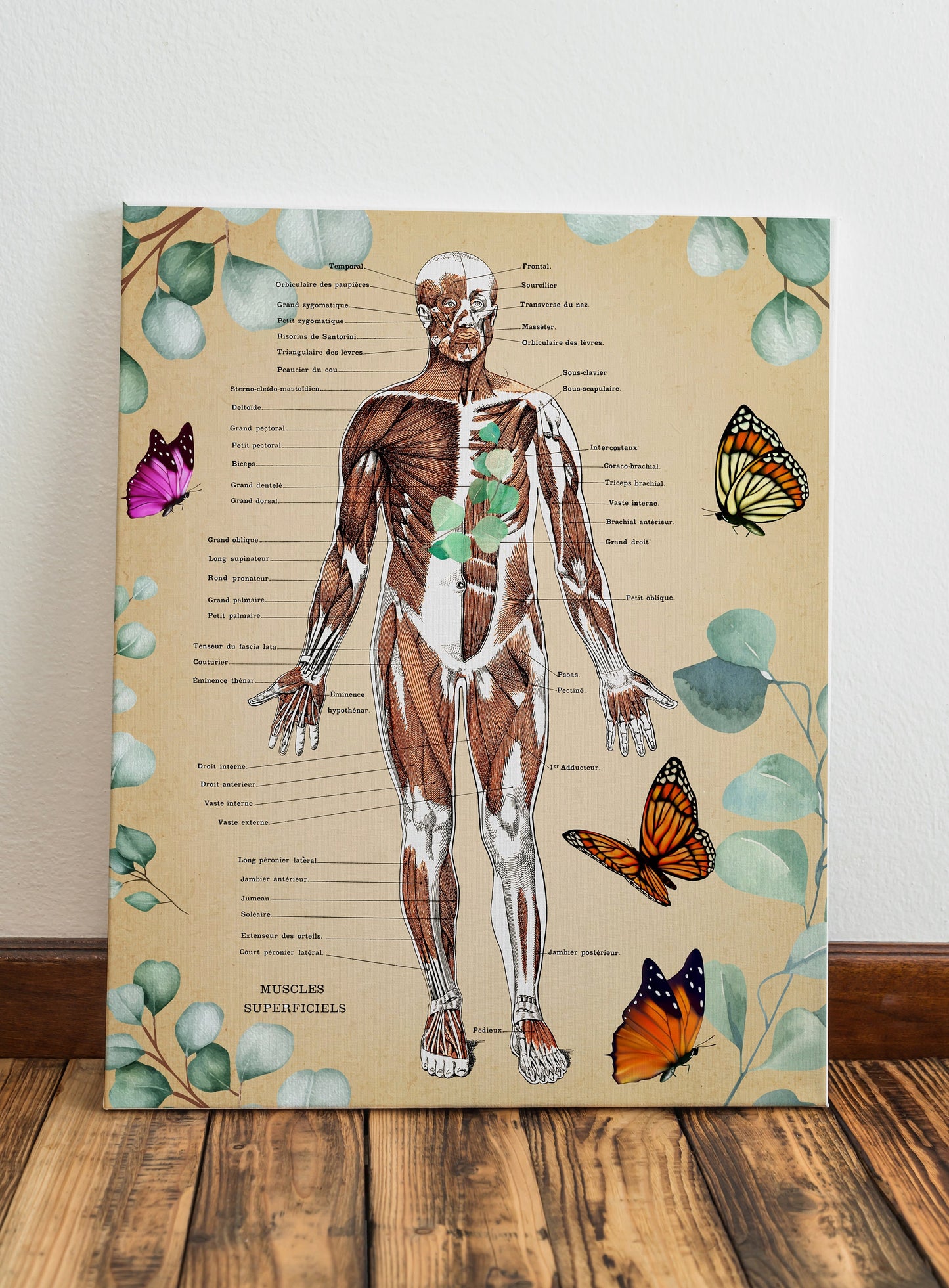 Anatomy Art, Anatomy Dictionary Art, Dictionary Wall Decor, Muscles in Body, Nature Art, Human Body Art, Butterflies Dictionary Art Print