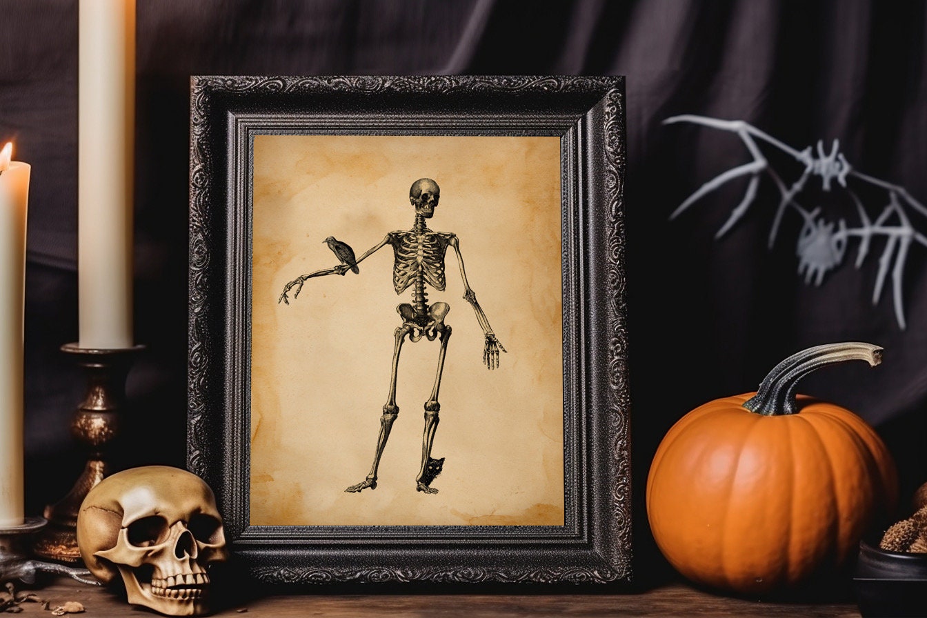 Halloween Skeleton Standing With Raven On Arm And Black Cat Vintage Illustration Art Print