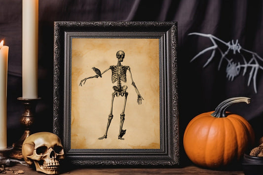 Halloween Skeleton Standing With Raven On Arm And Black Cat Vintage Illustration Art Print