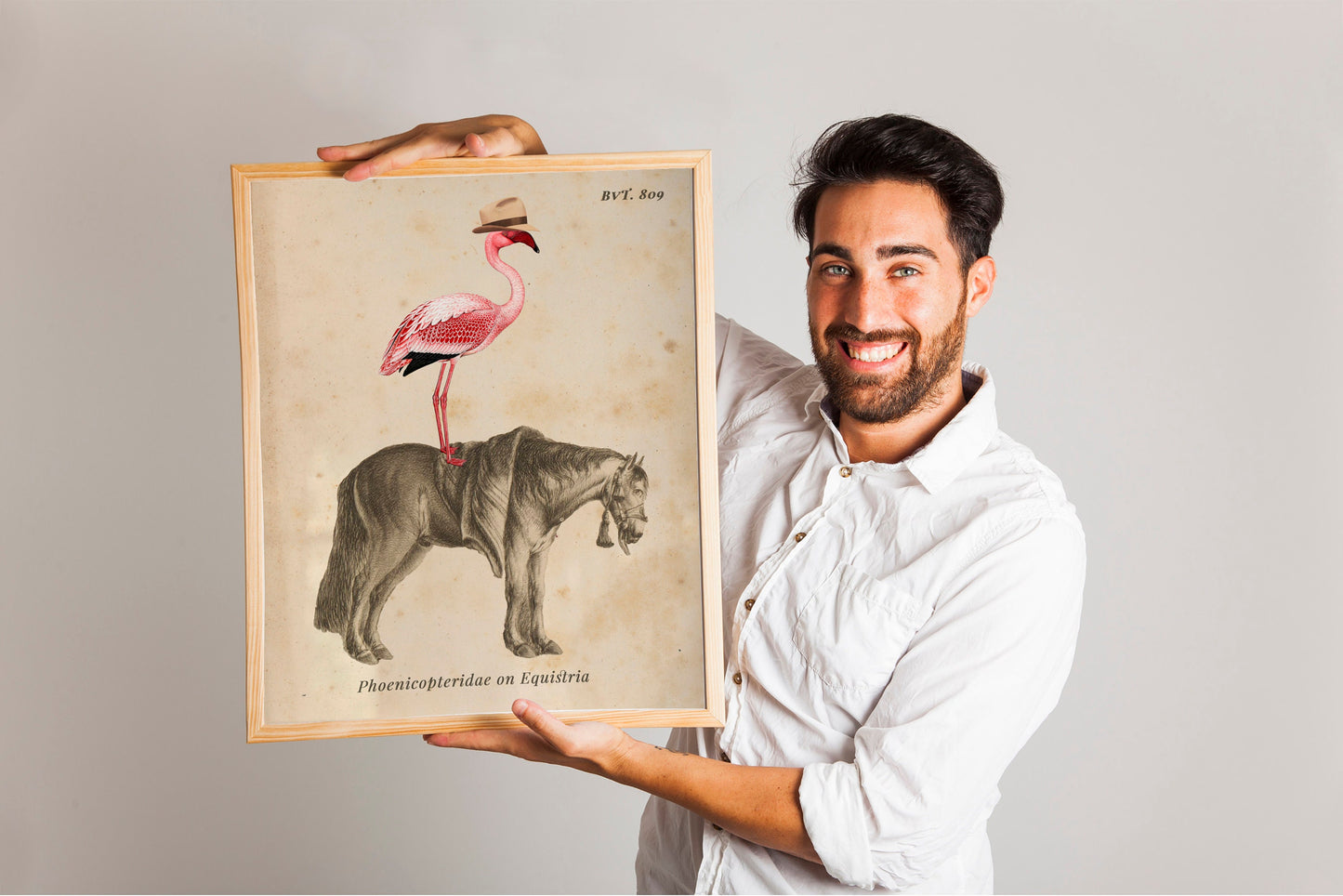 Flamingo On Horse Country Art Print