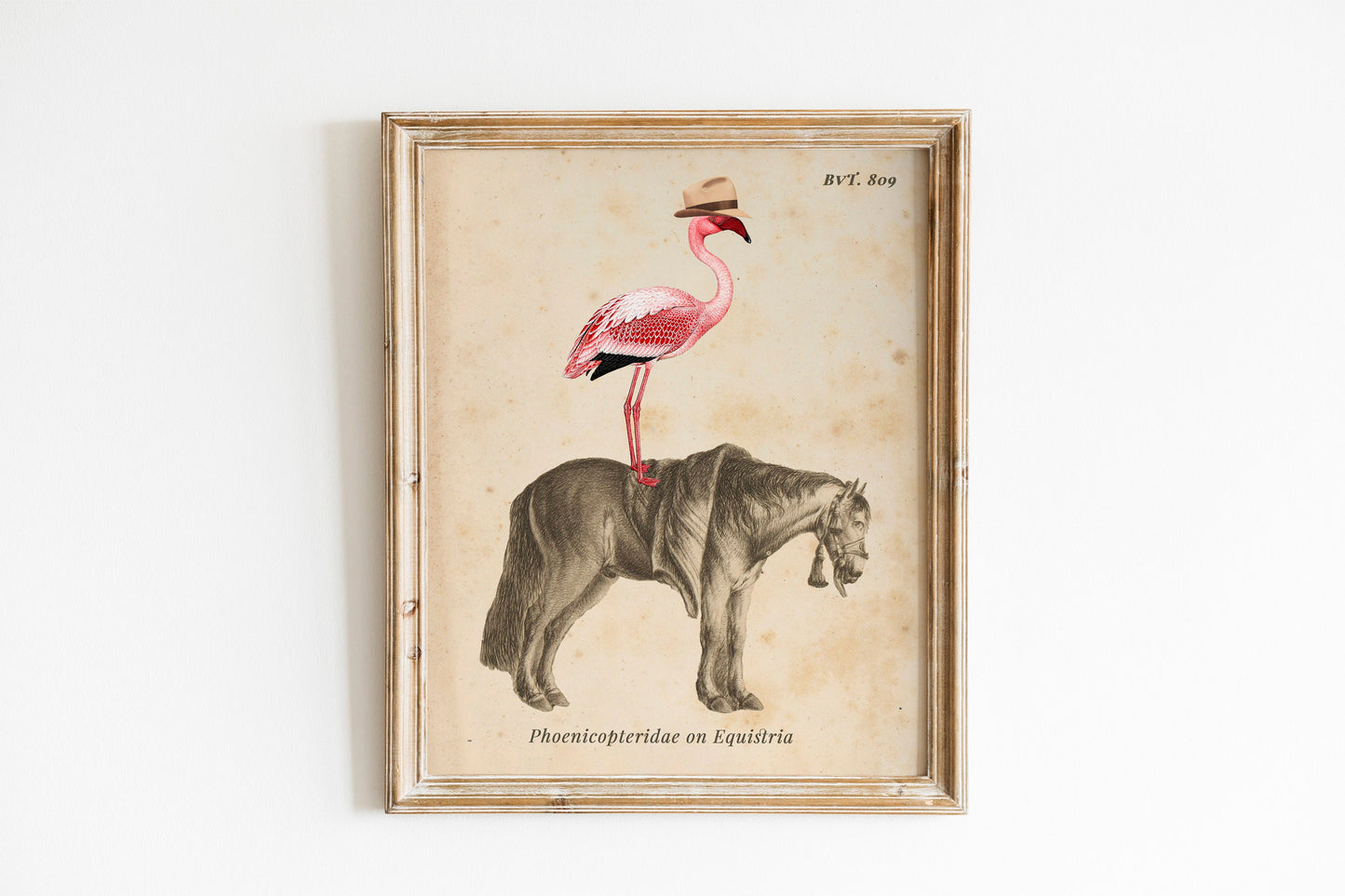 Flamingo On Horse Country Art Print