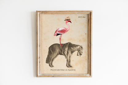 Flamingo On Horse Country Art Print