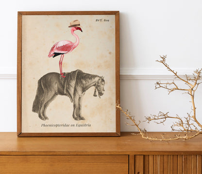 Flamingo On Horse Country Art Print