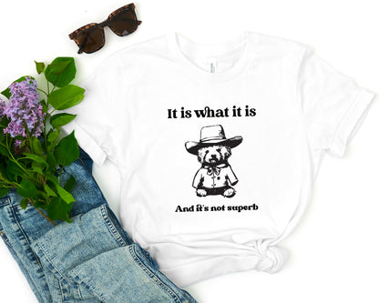 Cowboy Teddy Bear T-Shirt, It Is What It Is