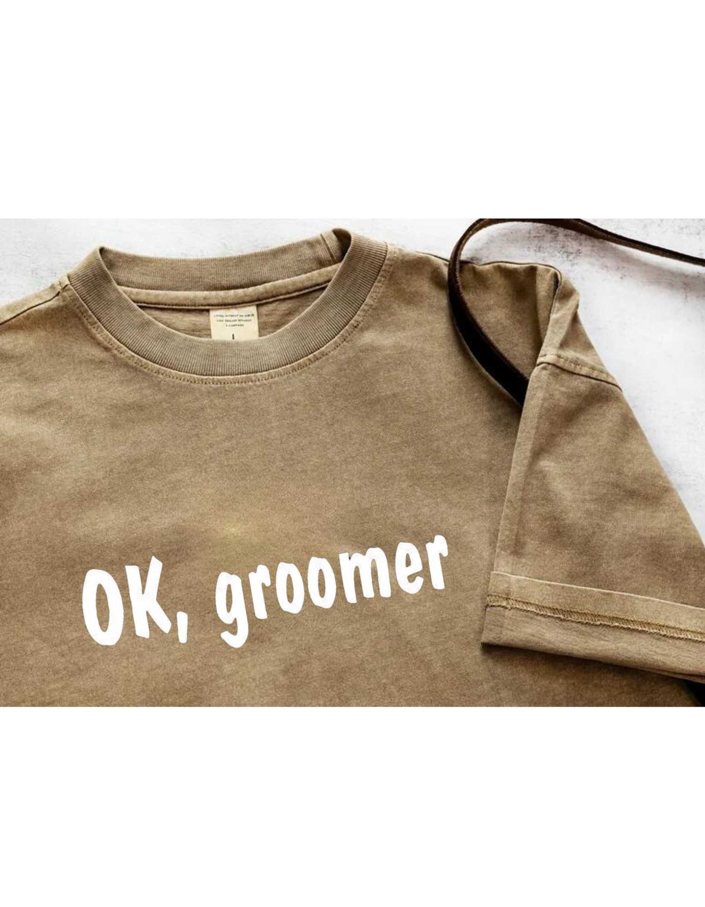 Ok, Groomer, Election Independent President, American Politics, 2024 Election T-shirt, 2024 Campaign Shirt