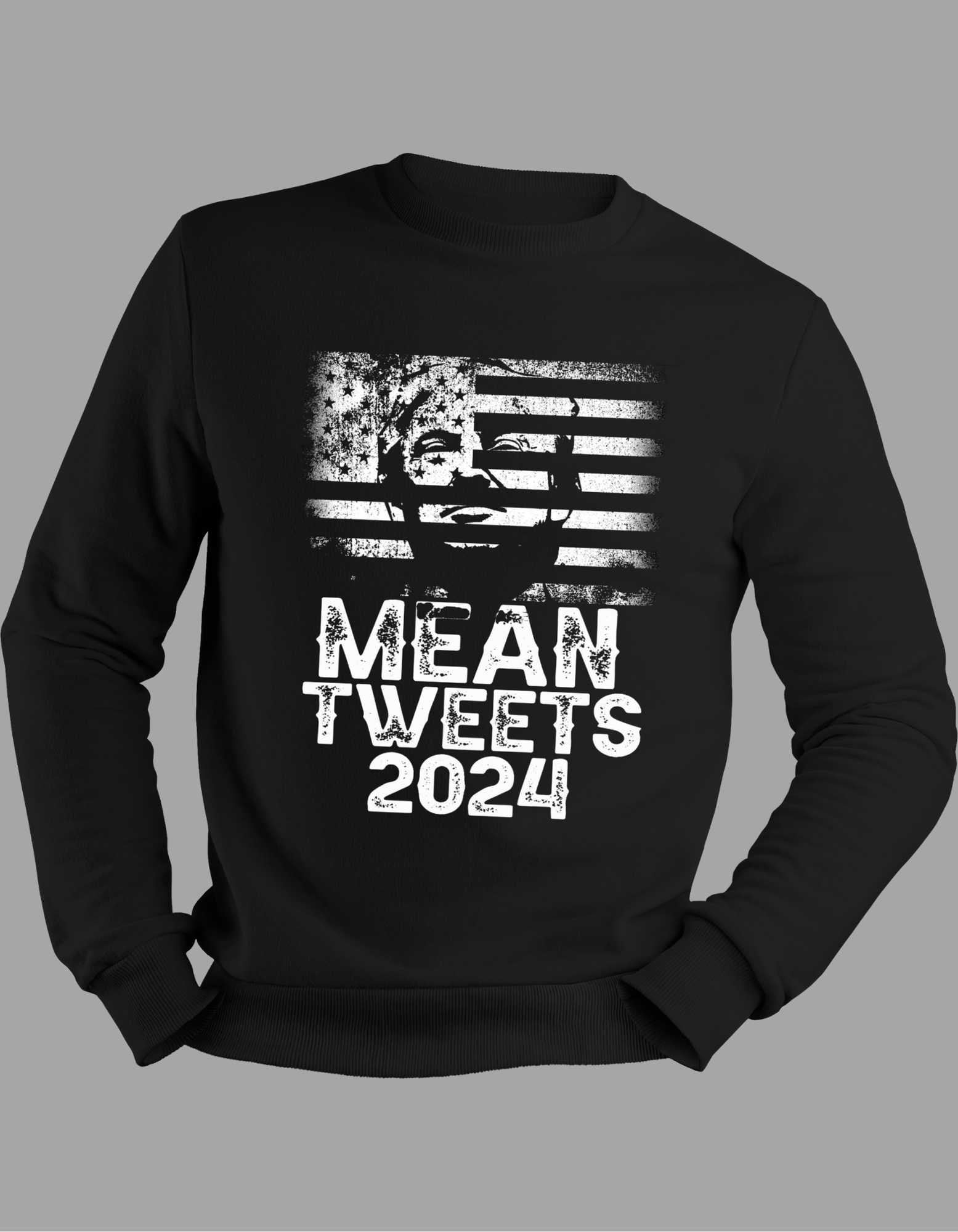 Mean Tweets 2024 Shirt, Support Trump Shirt, Trump 2024 Shirt, Anti Democrat, Republican Shirt, Trump Desantis 2024, Funny Republican tee,
