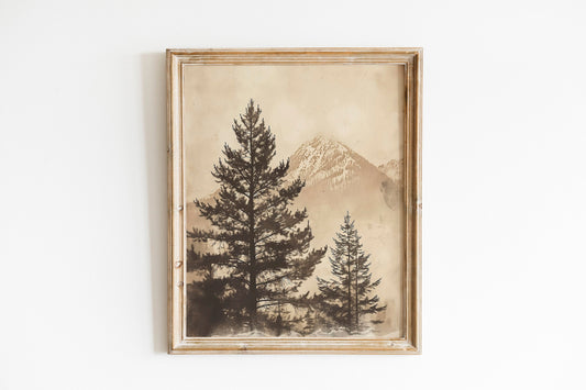 Antique Pine Trees Art Print Line of Pine Trees Print Modern Pine Trees Print Home Decor Rustic Decor Vintage Modern Pines Trees Print
