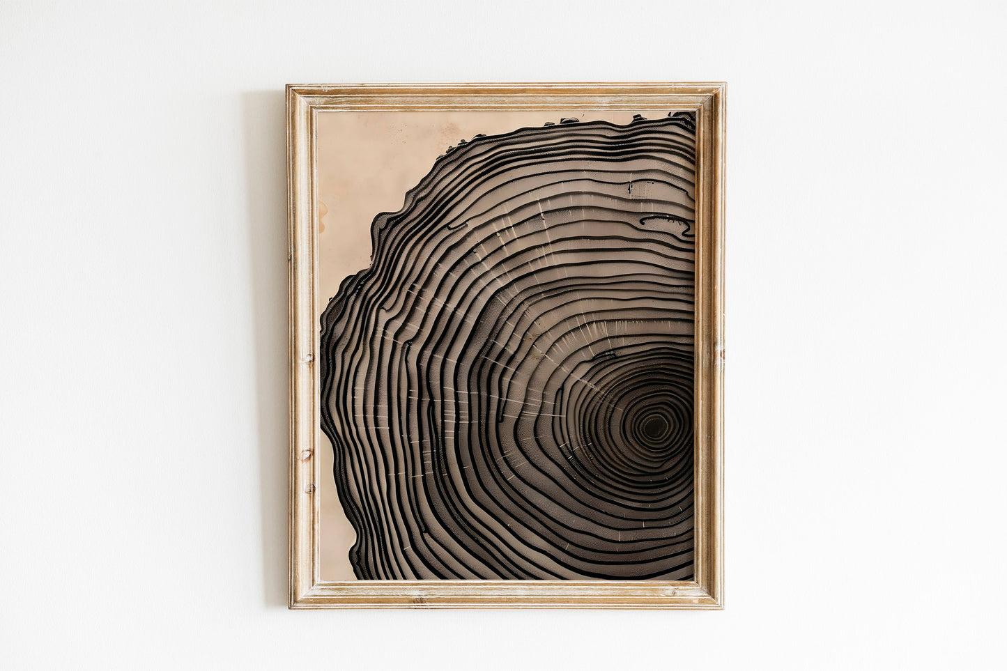 Modern Art Minimalist Neutral Decor Framed Canvas Wall Art Set Wood Tree Ring Prints Contemporary Home Decor Art