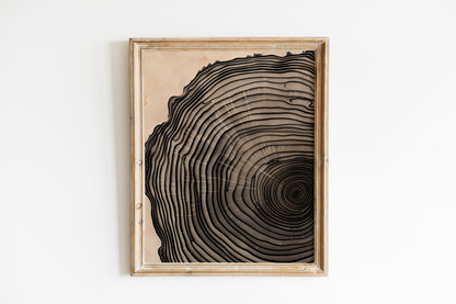 Modern Art Minimalist Neutral Decor Framed Canvas Wall Art Set Wood Tree Ring Prints Contemporary Home Decor Art