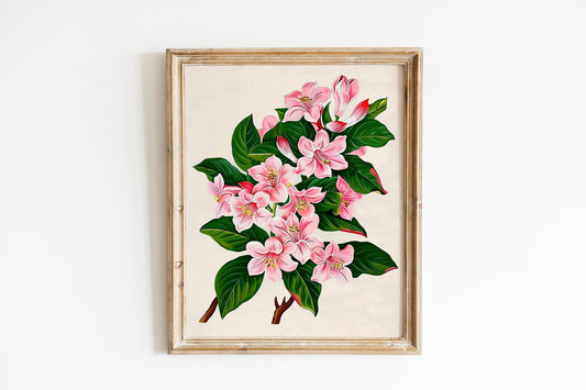 Vintage Floral Print Antique Rose Printable Wall Art Pink Flower Sketch Botanical Farmhouse Décor Spring French