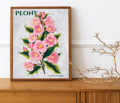 Colourful Quirky Hand-Drawn Art Summer Peony Bright Colourful Art Print Modern Art Print Gallery Wall Bathroom Decor Peonies Art