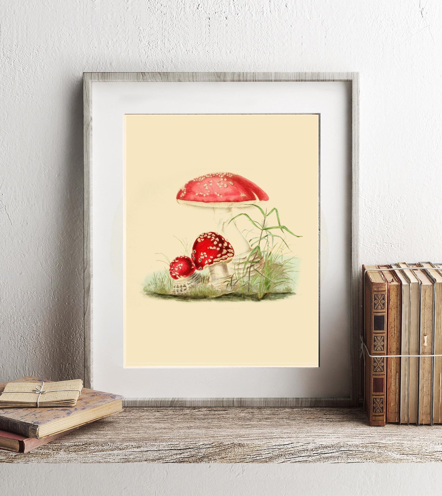 Vintage Mushrooms Botanical Wall Art, Plant Life Art, Red Mushroom